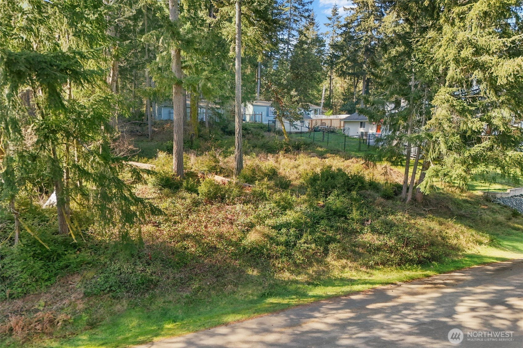 10514 100th Street Ct, Anderson Island, WA 98303