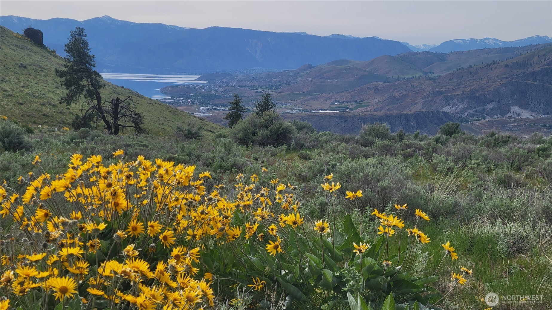 0 Coyote's Curve Road, Orondo, WA 98843