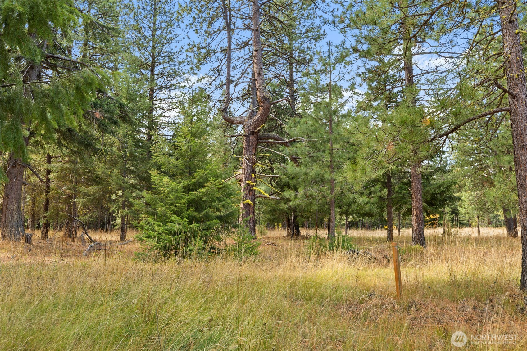 15 Lot Old Grove Trail, Cle Elum, WA 98922