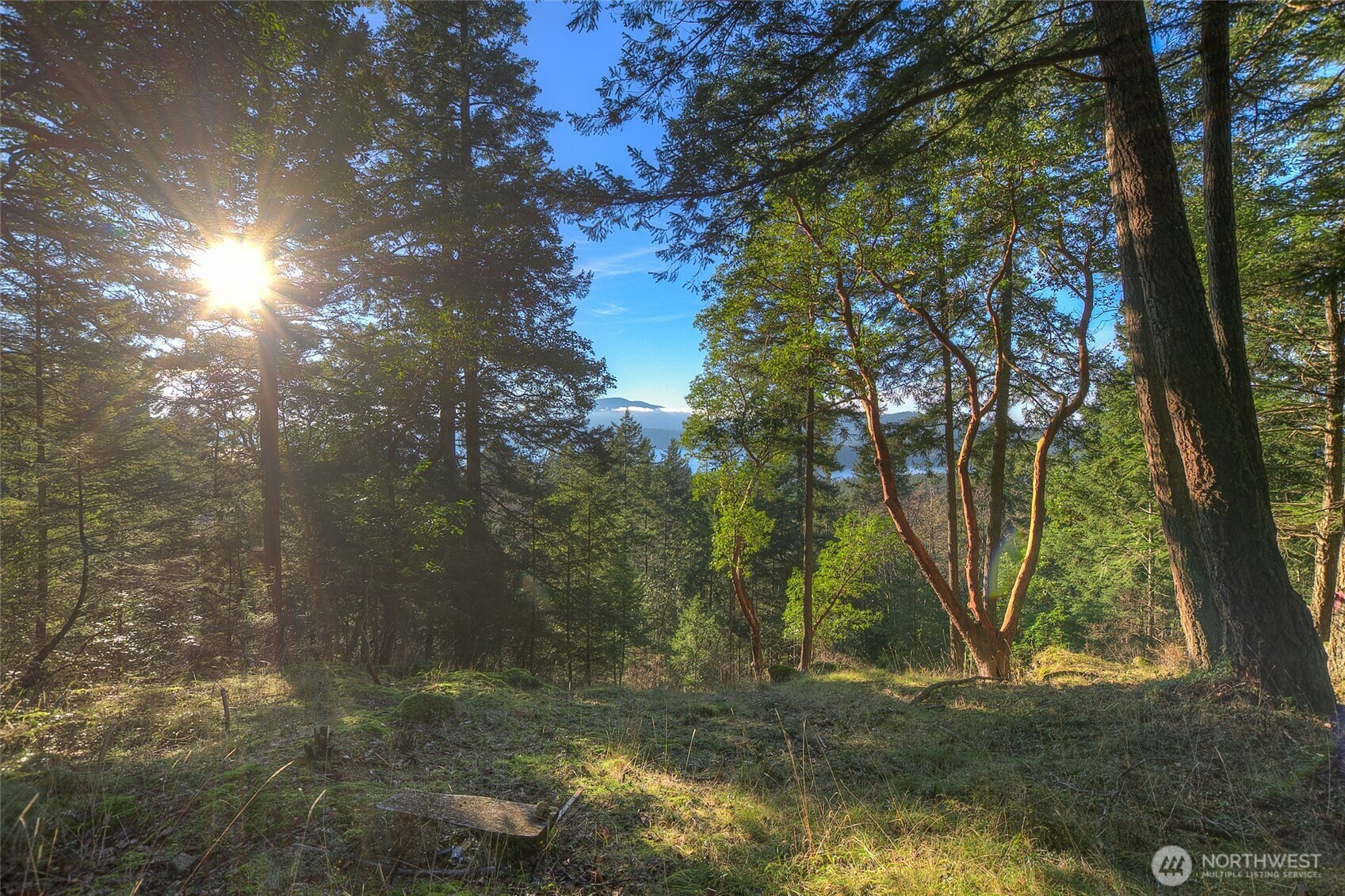 558 Buck Mt. Road, Orcas Island, WA 98245