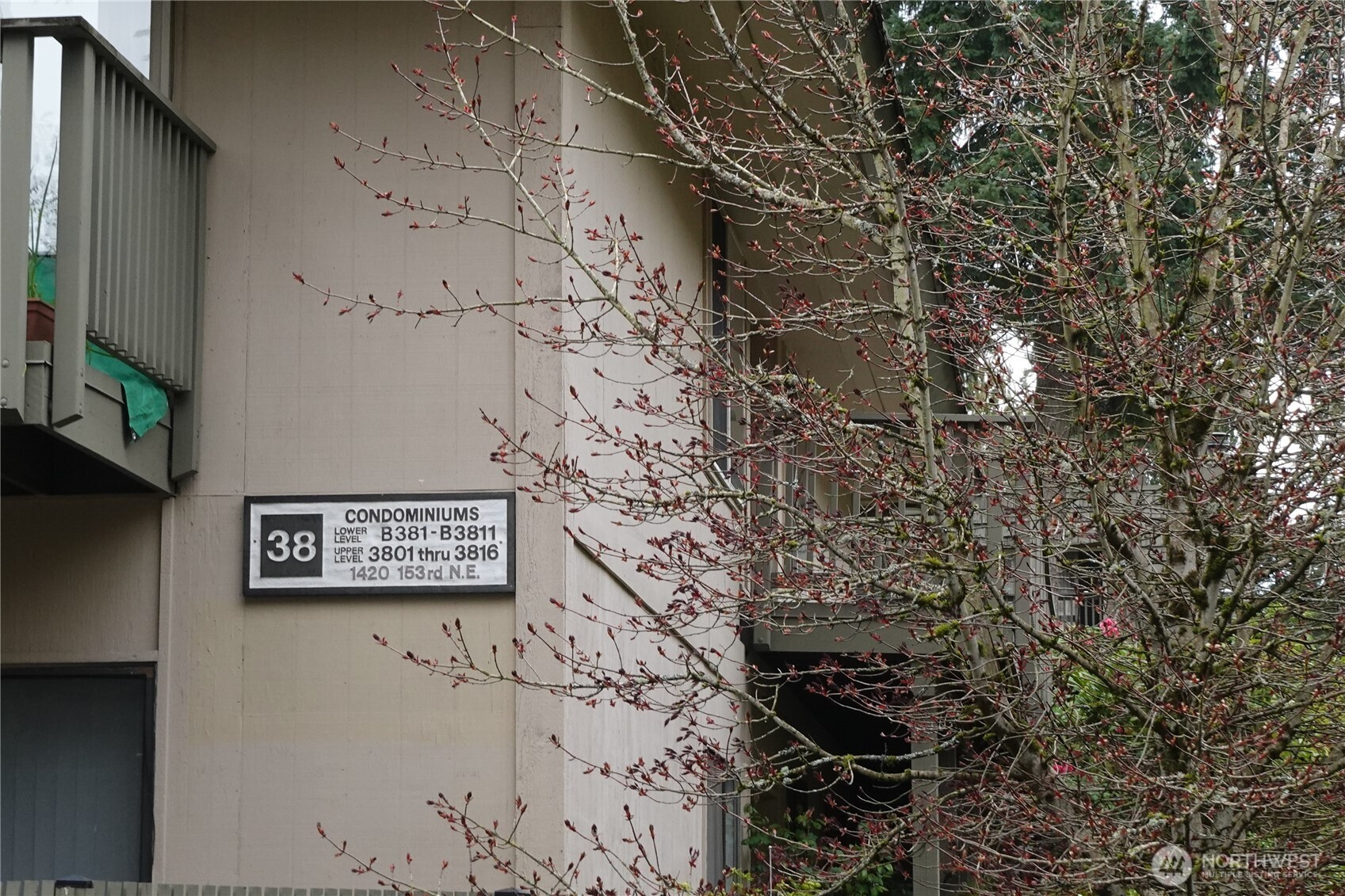 1420 153rd Avenue NE, Bellevue, WA 98007