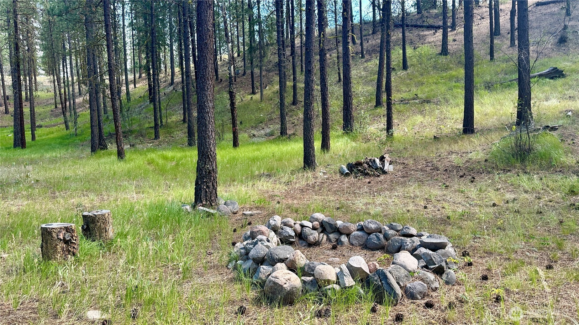 98 Larkspur Drive, Winthrop, WA 98862