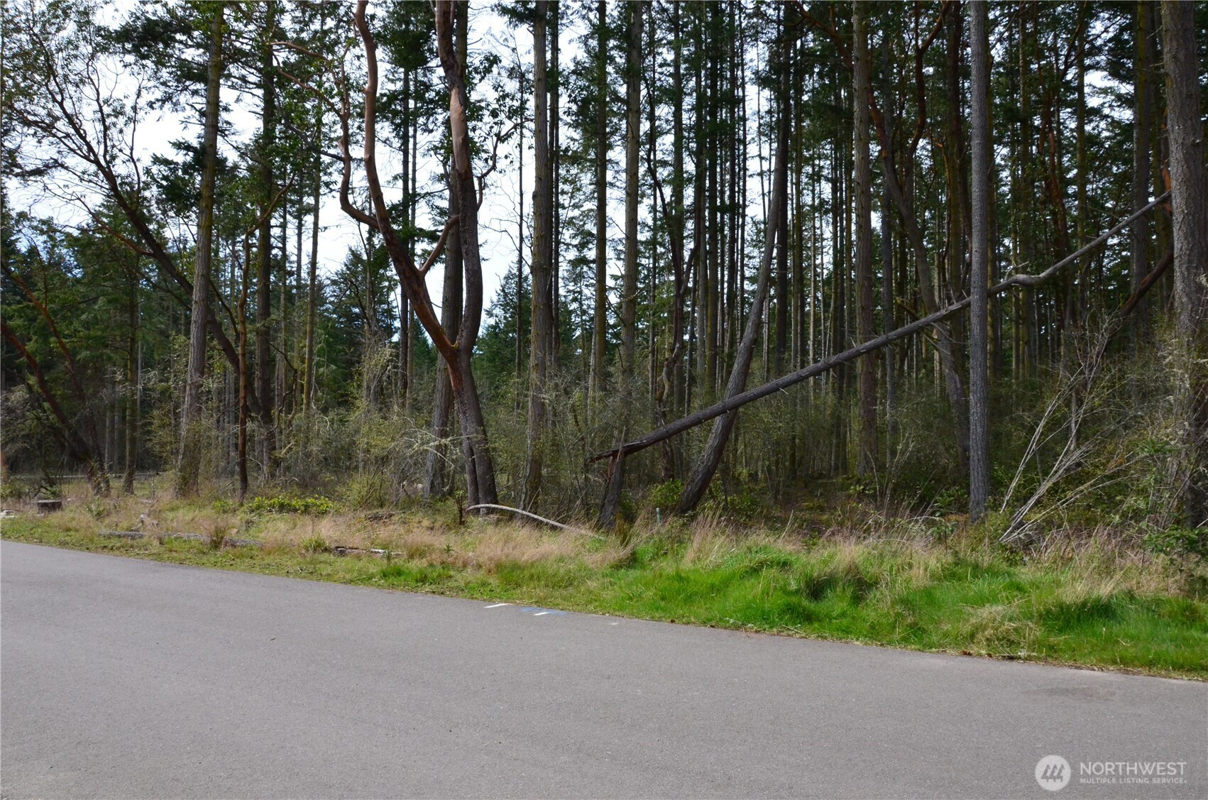 6 NKA Katherine Street, Port Townsend, WA 98368