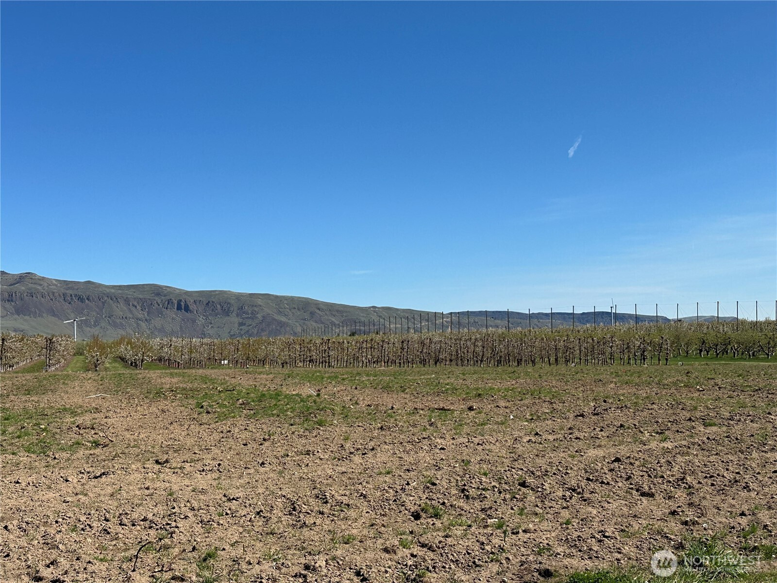 565 S Van Well Avenue, East Wenatchee, WA 98802