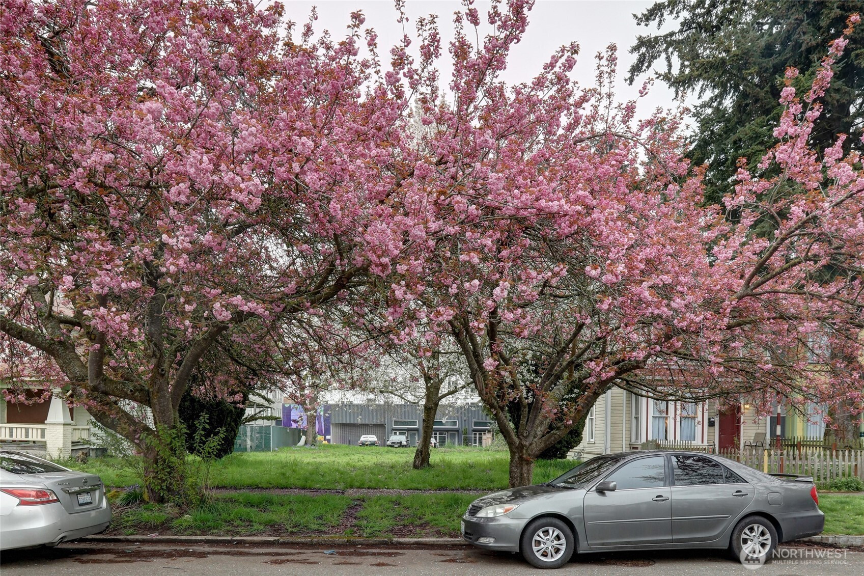 811 S L Street, Tacoma, WA 98405