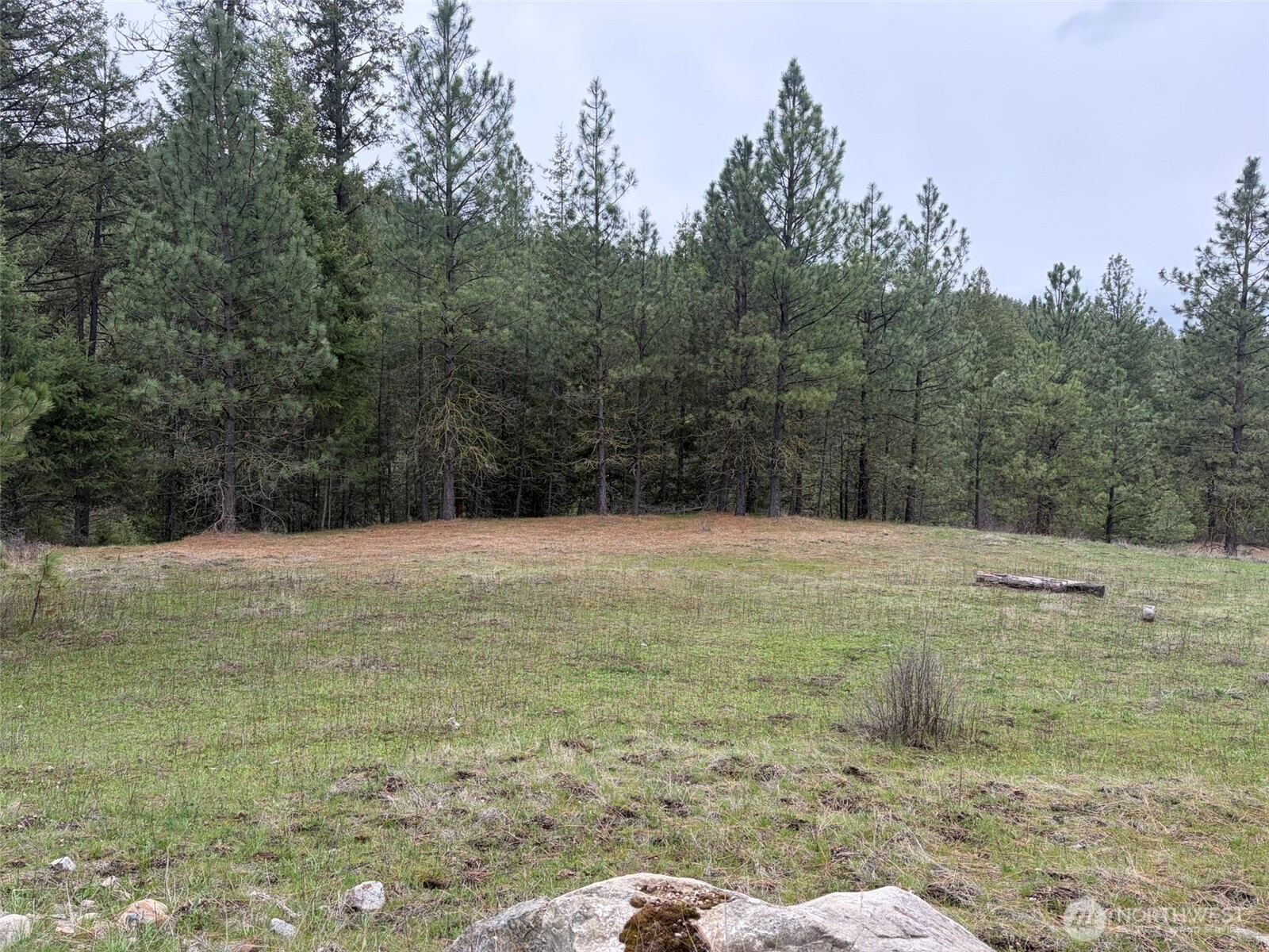 111 TBD Fish Hatchery Road, Republic, WA 99166