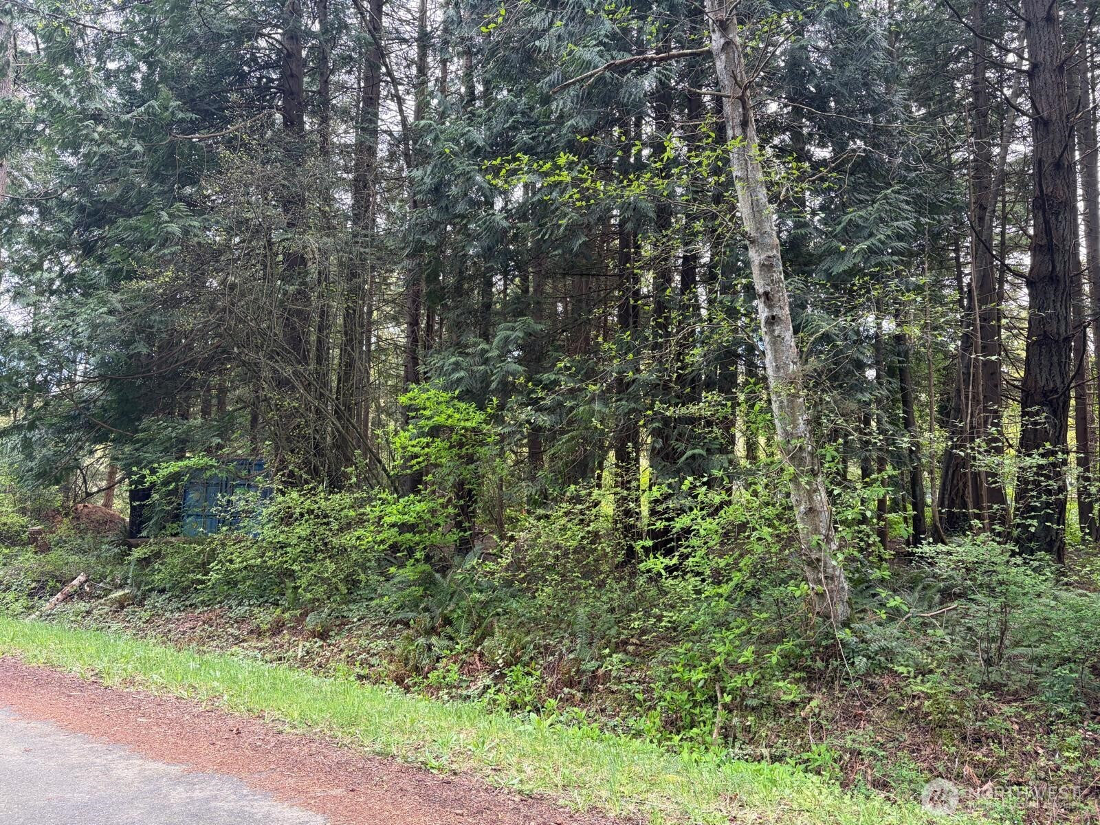 318 Madrona Place, Point Roberts, WA 98281