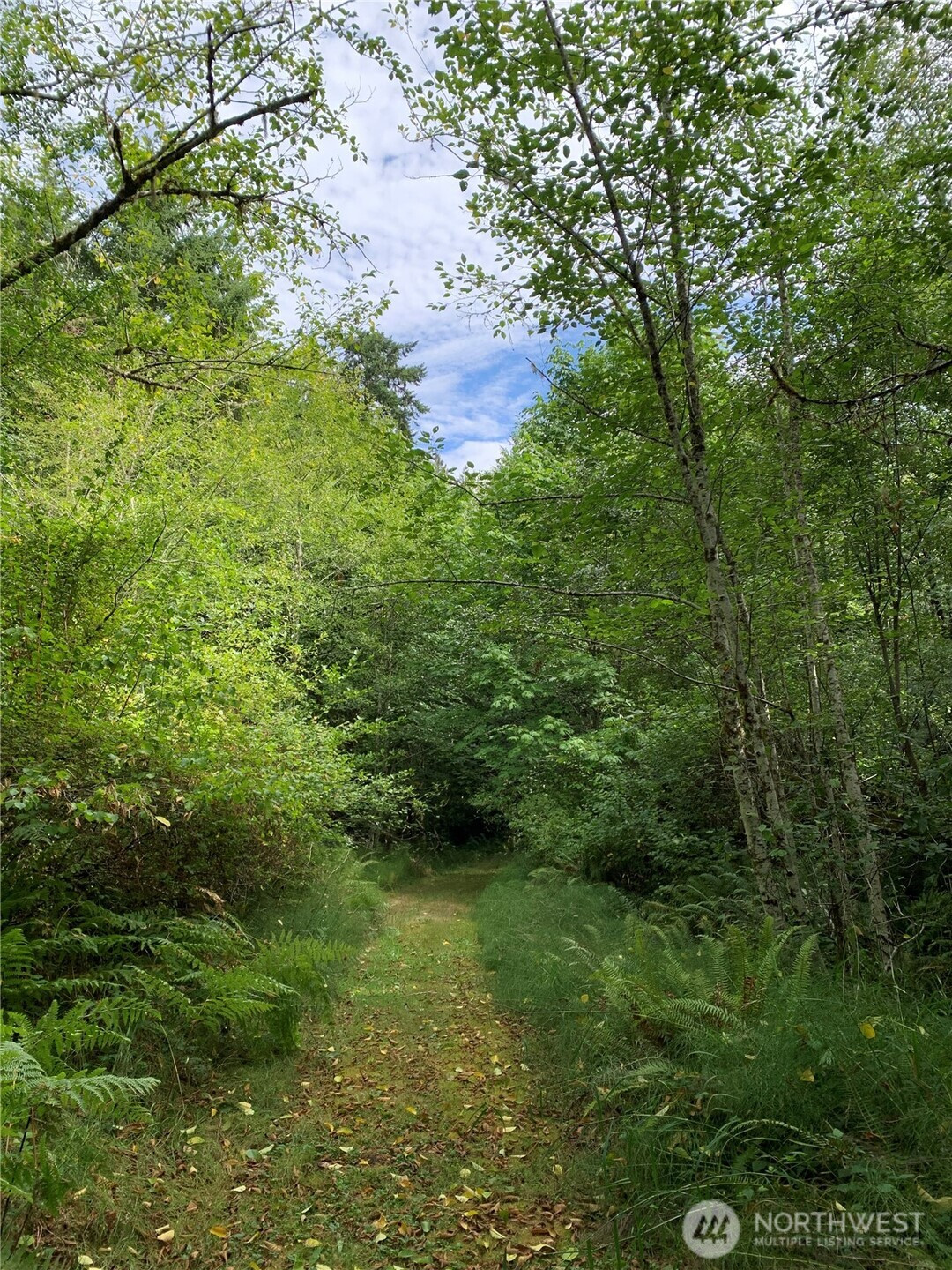 5420 NW 66th Avenue, Olympia, WA 98502