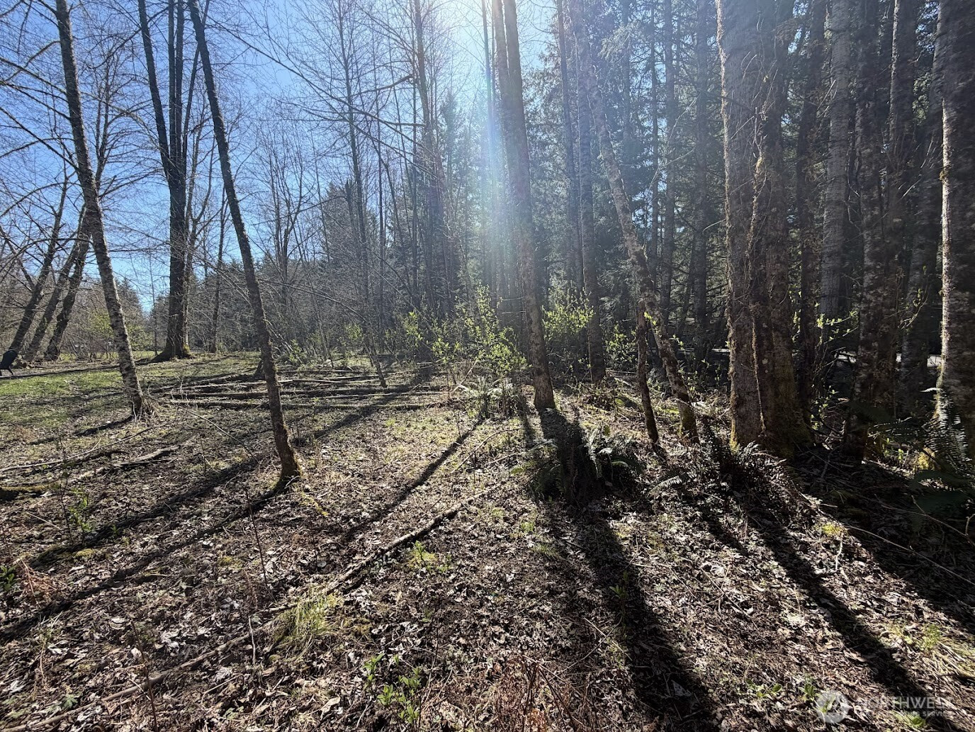 181 Nisqually Way, Ashford, WA 98304