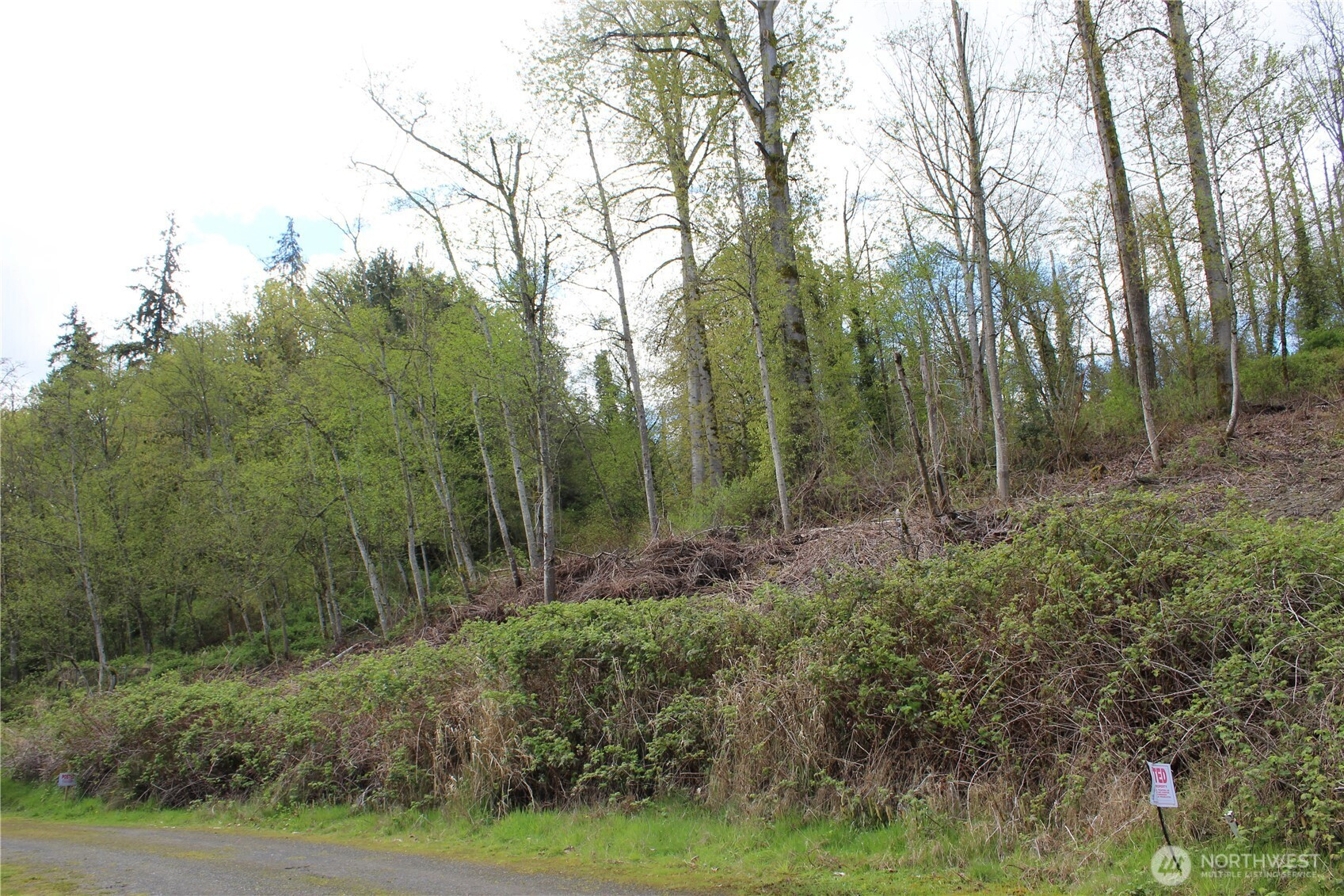 22 xx Franklin Street, Everett, WA 98208