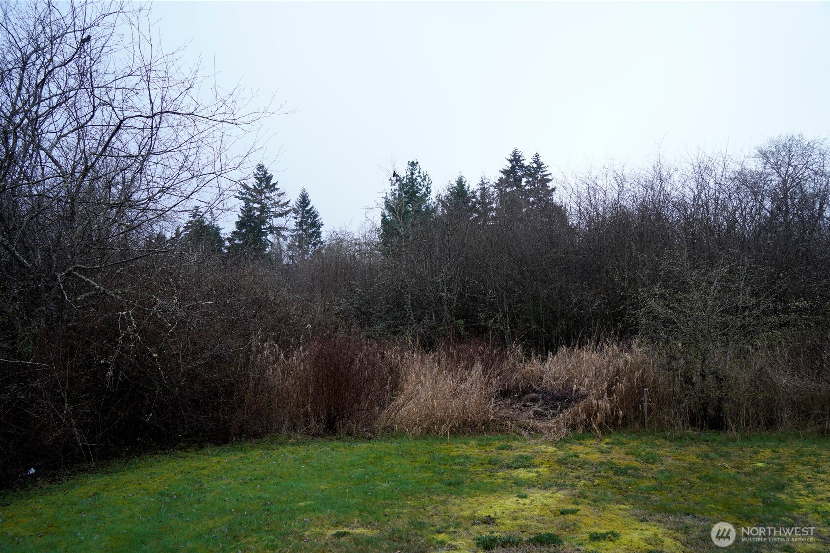 803 112th Street E, Tacoma, WA 98445