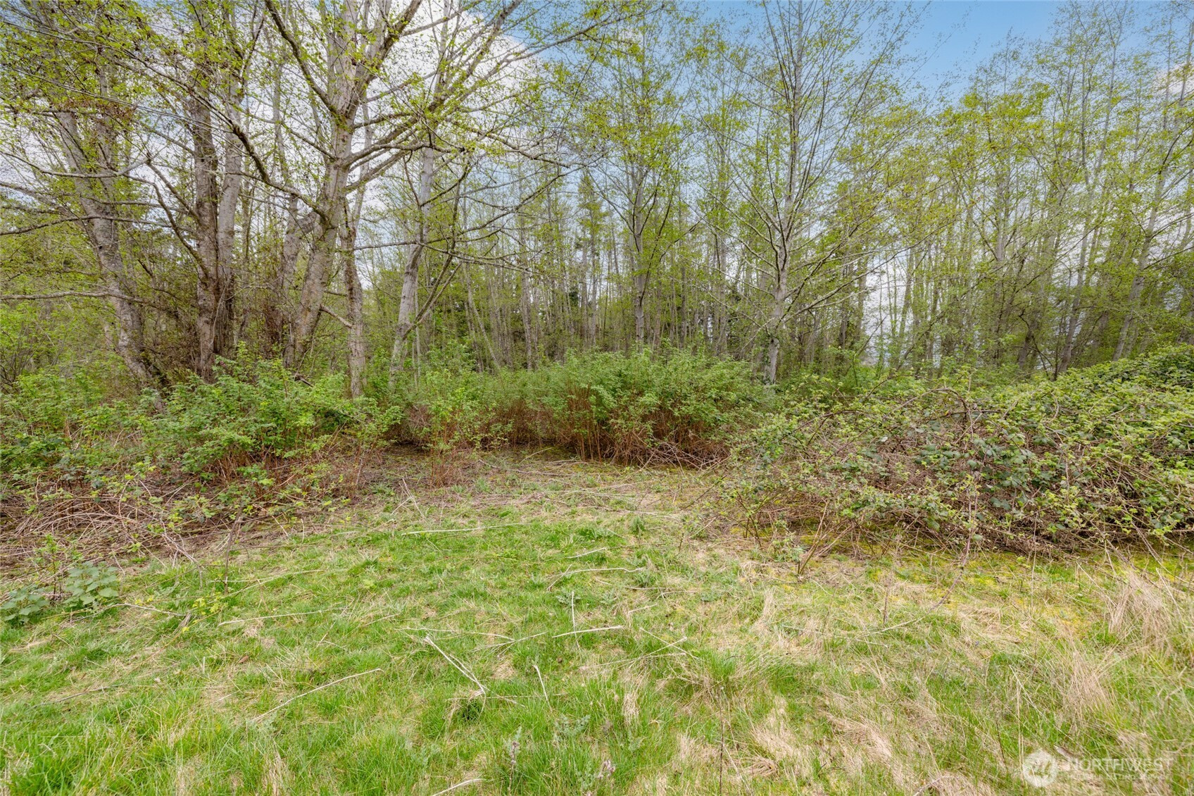 0 W Ault Field Road (Lot 1 & 2), Oak Harbor, WA 98277