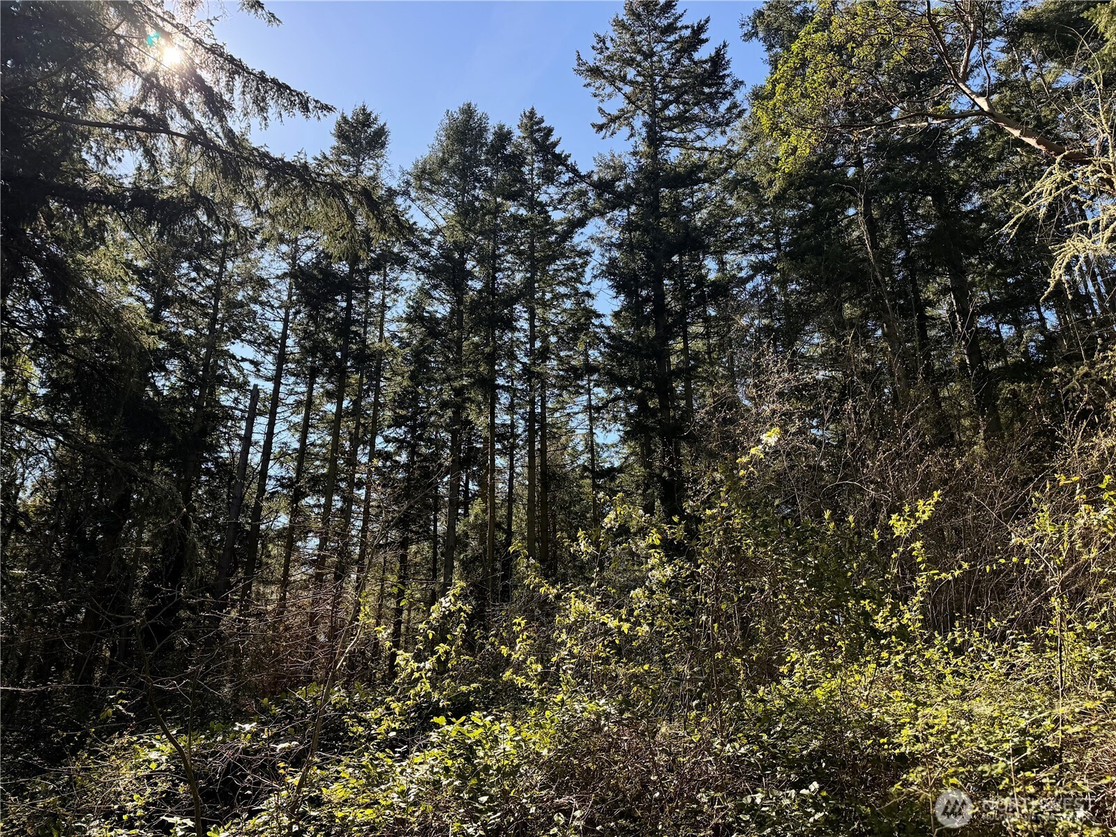 0 25th Street, Port Townsend, WA 98368