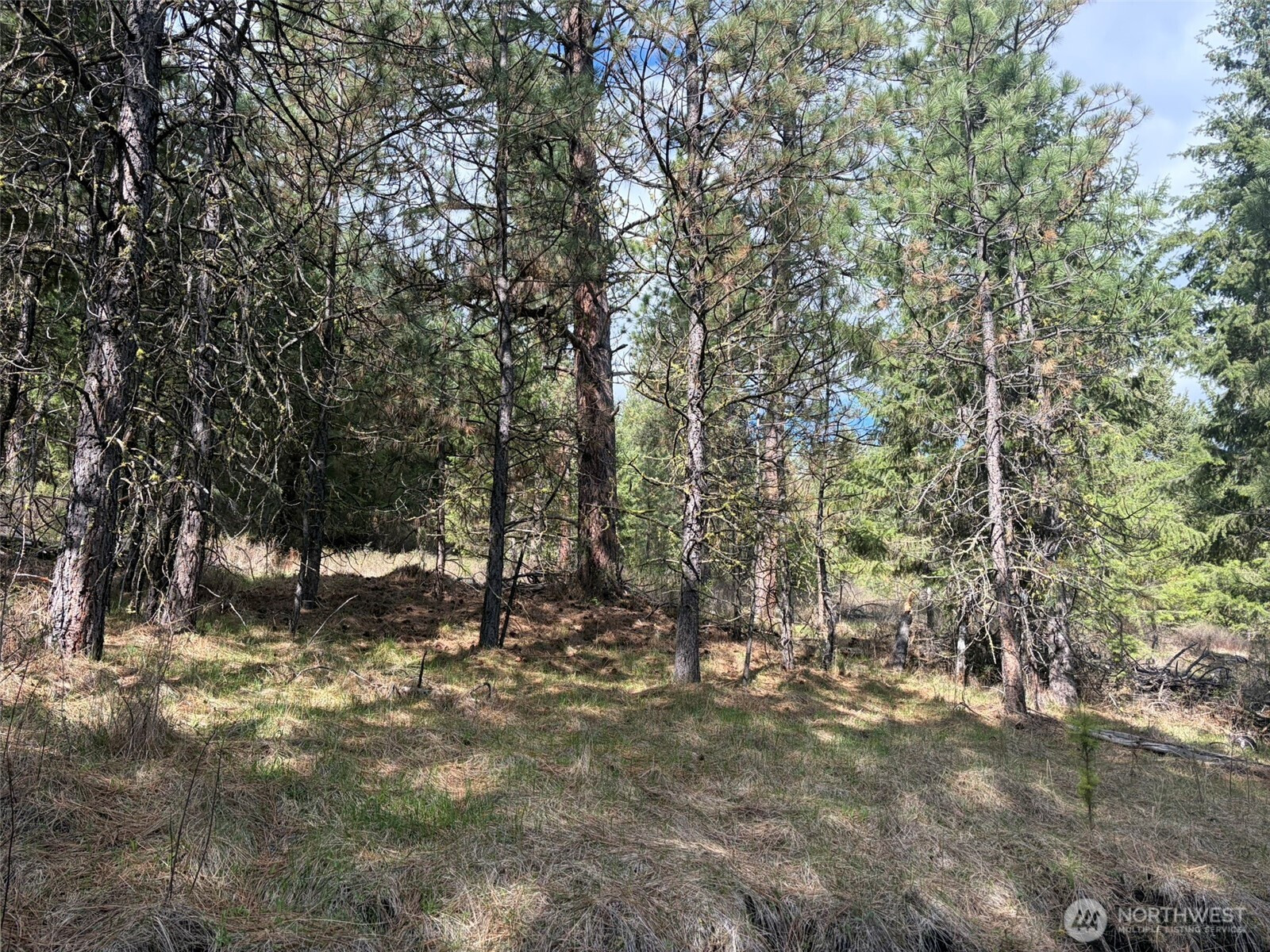 111 TBD E West Curlew Lake Road, Republic, WA 99166