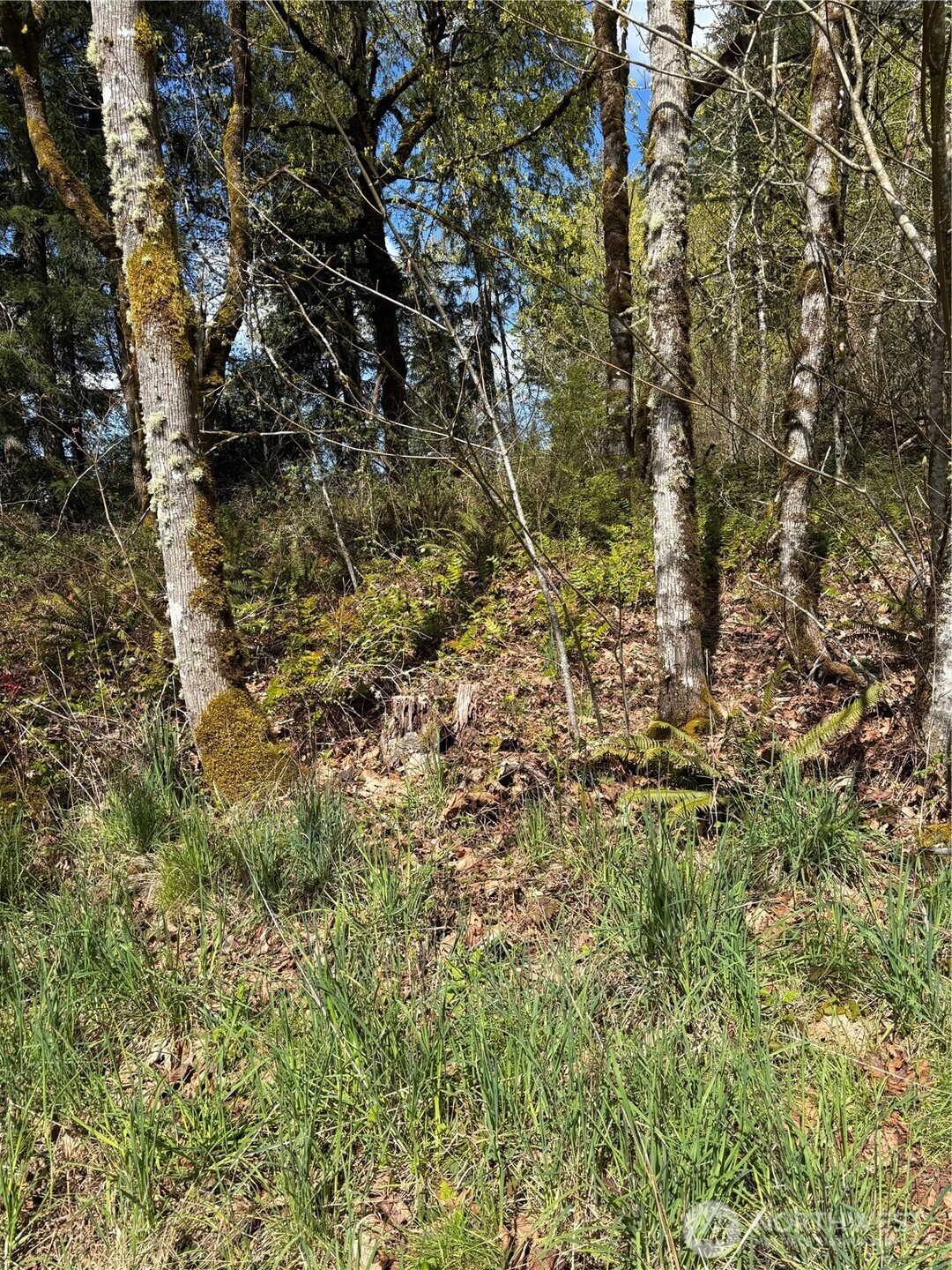 5838 Octava Court SW, Olympia, WA 98513