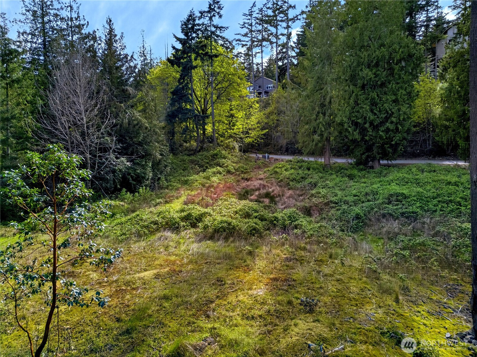 11927 Madrona Ridge Place, Anacortes, WA 98221