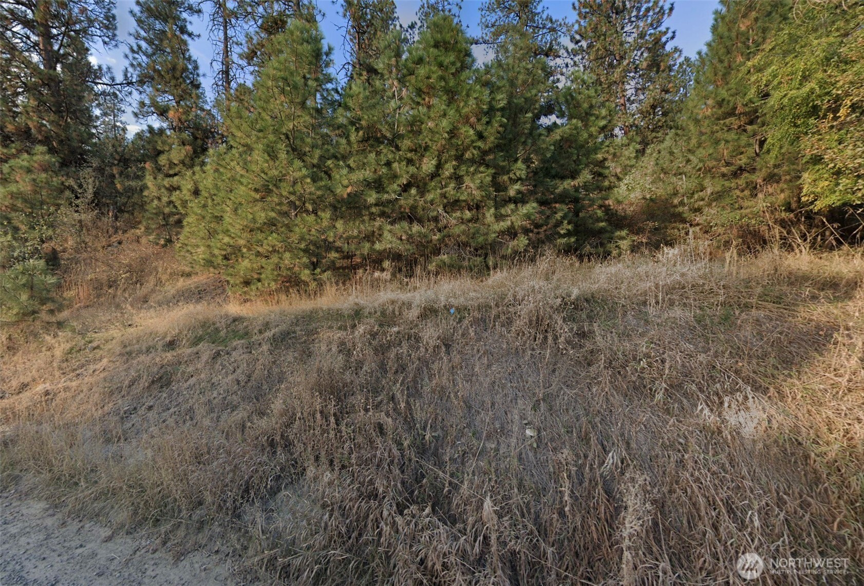 99 N Idaho Road, Liberty Lake, WA 99019