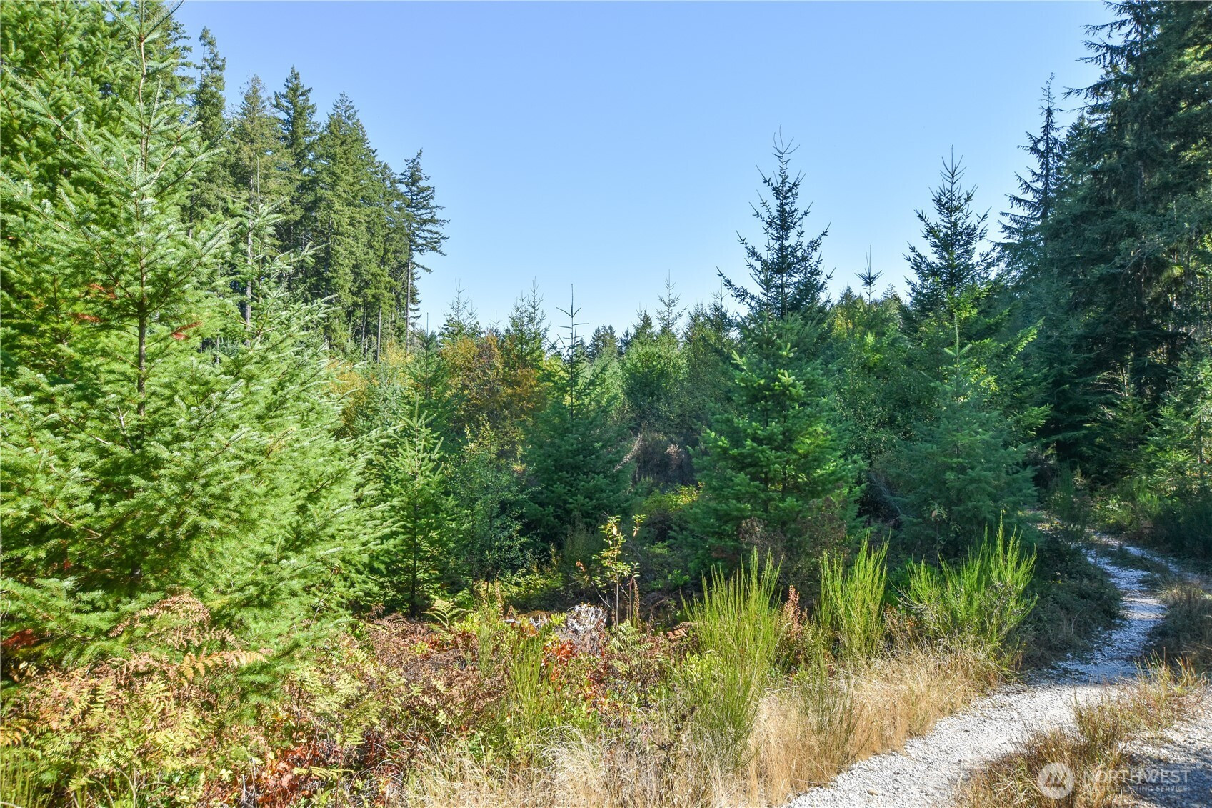 20 Acres SW Hunter Road, Port Orchard, WA 98367