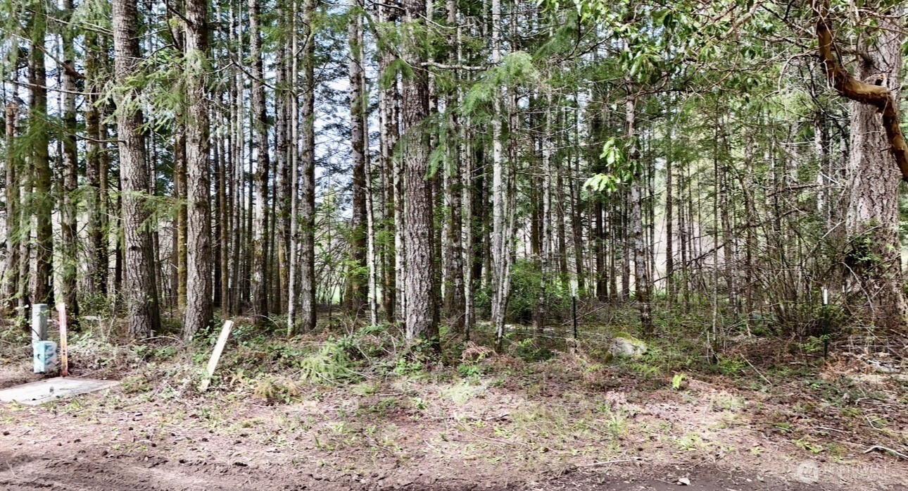 361 SE Ryan Road, Shelton, WA 98584