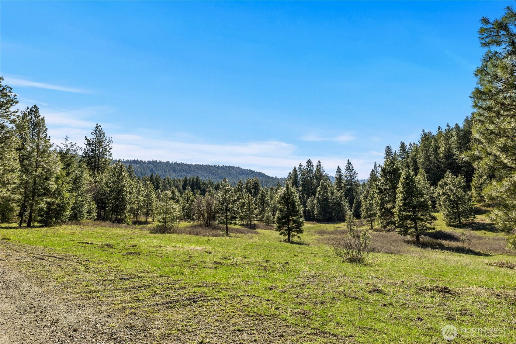 0 XXX Thornton Creek Lane, Cle Elum, WA 98922