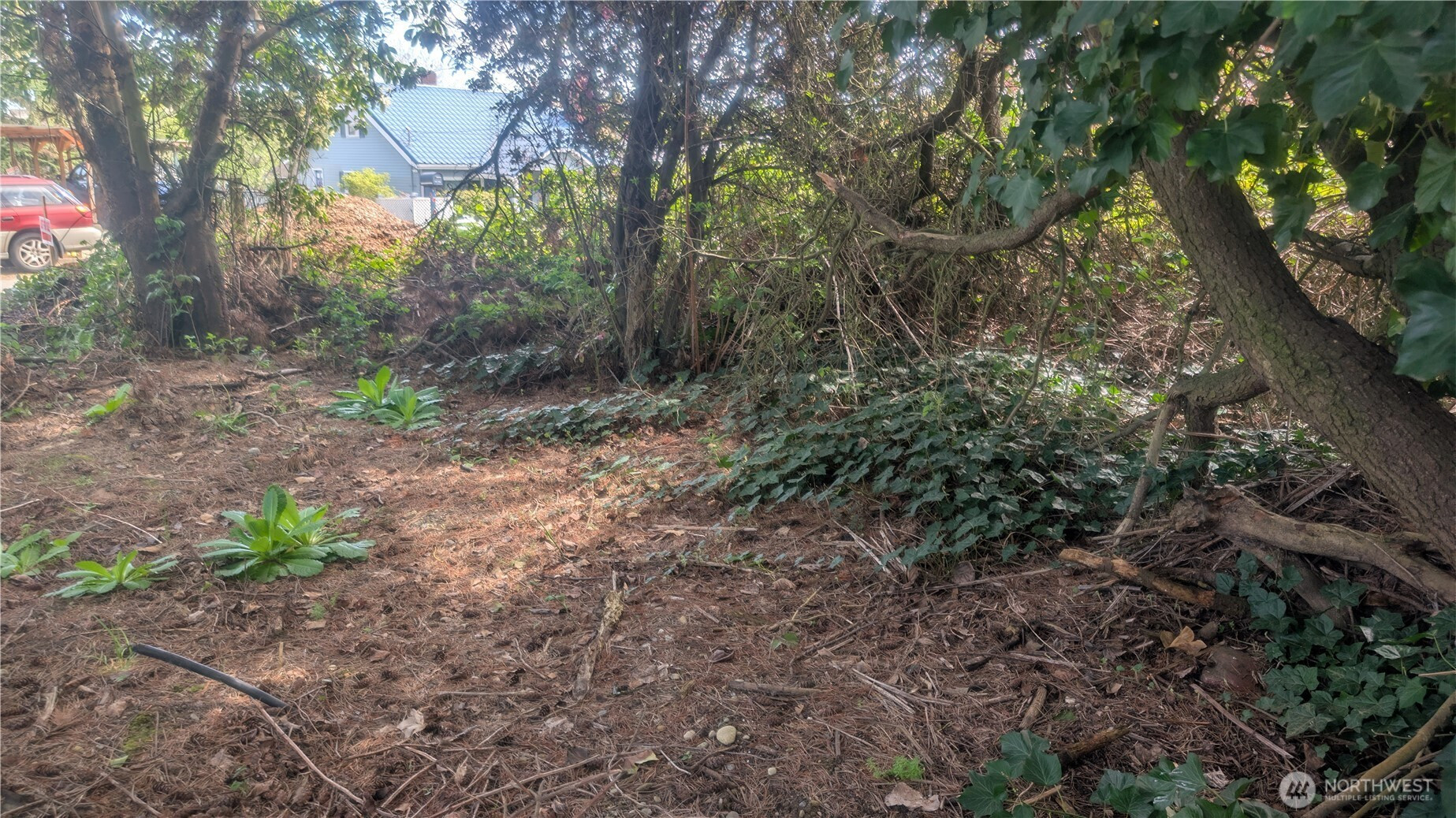 5263 21St Avenue SW, Seattle, WA 98106