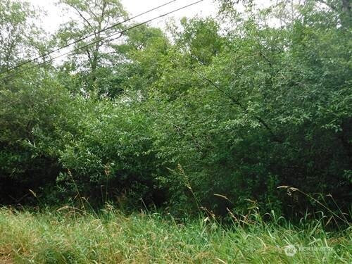 2406 Willows RD, Seaview, WA 98644