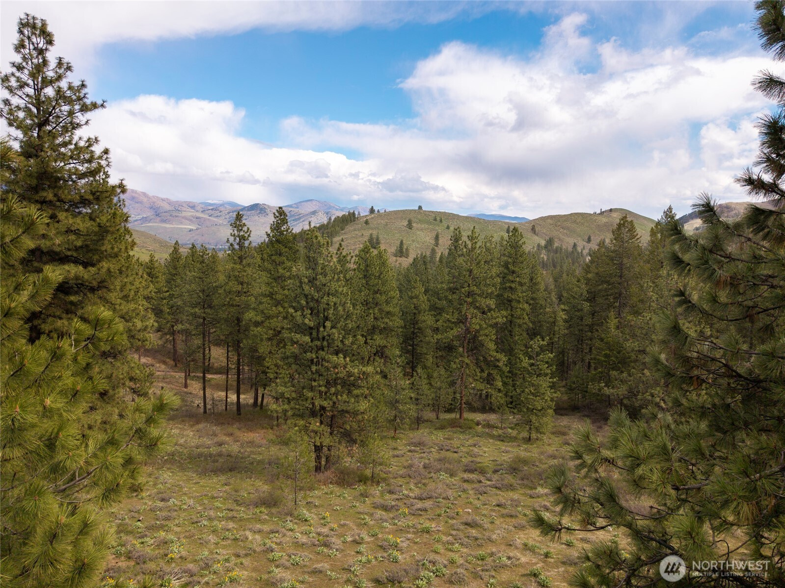 0 LOT 61 Whitebark Lane, Winthrop, WA 98862