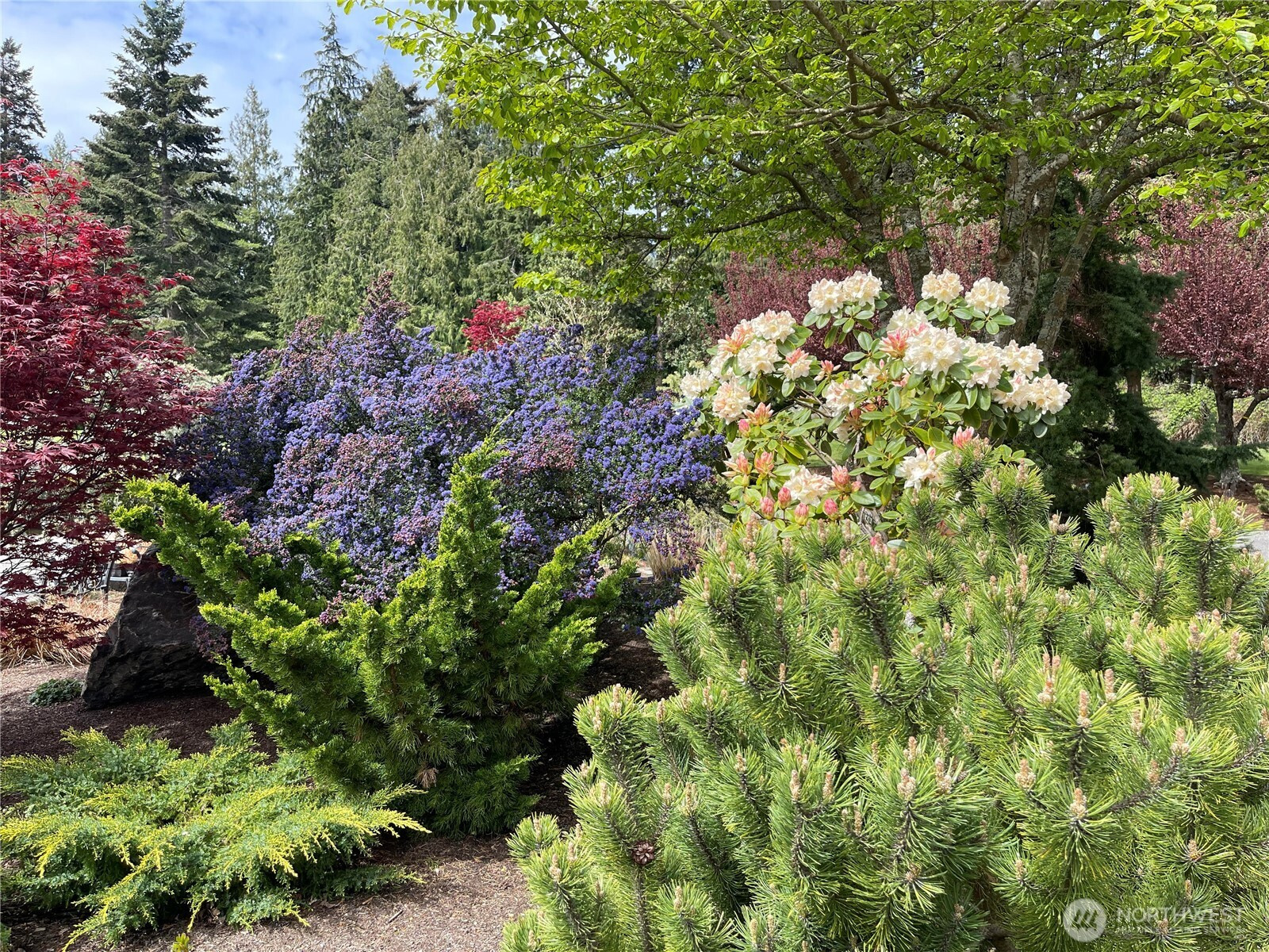 2426 James Place, Langley, WA 98260