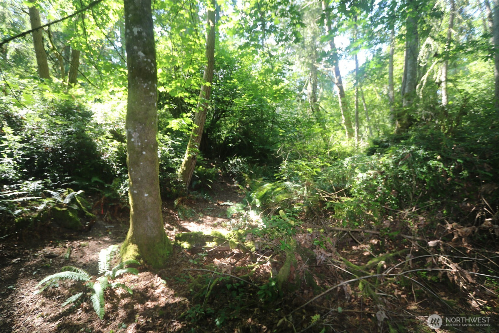 28686 141st Avenue SW, Vashon, WA 98070