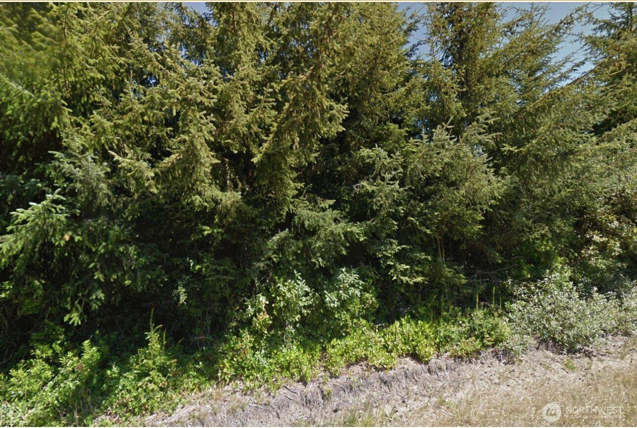 814 Vagabond Avenue SW, Ocean Shores, WA 98569