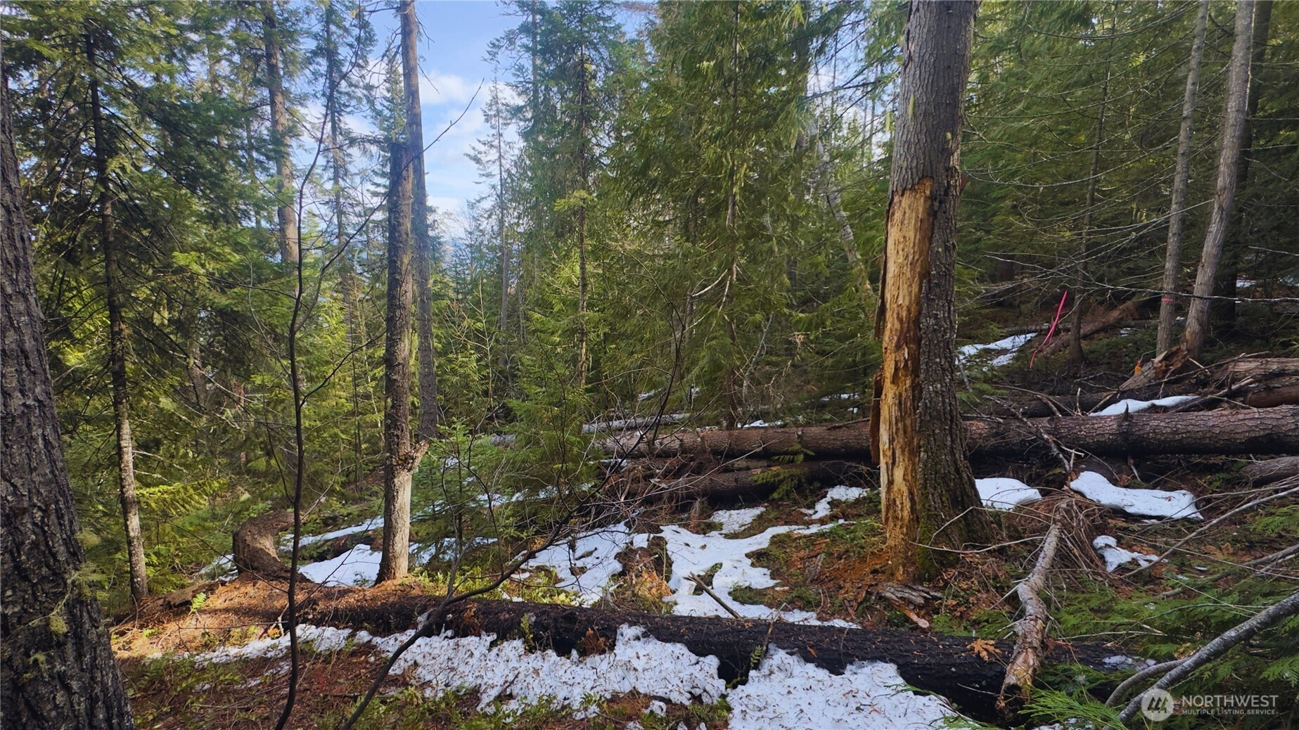 15839 Cedar Brae Road, Leavenworth, WA 98826