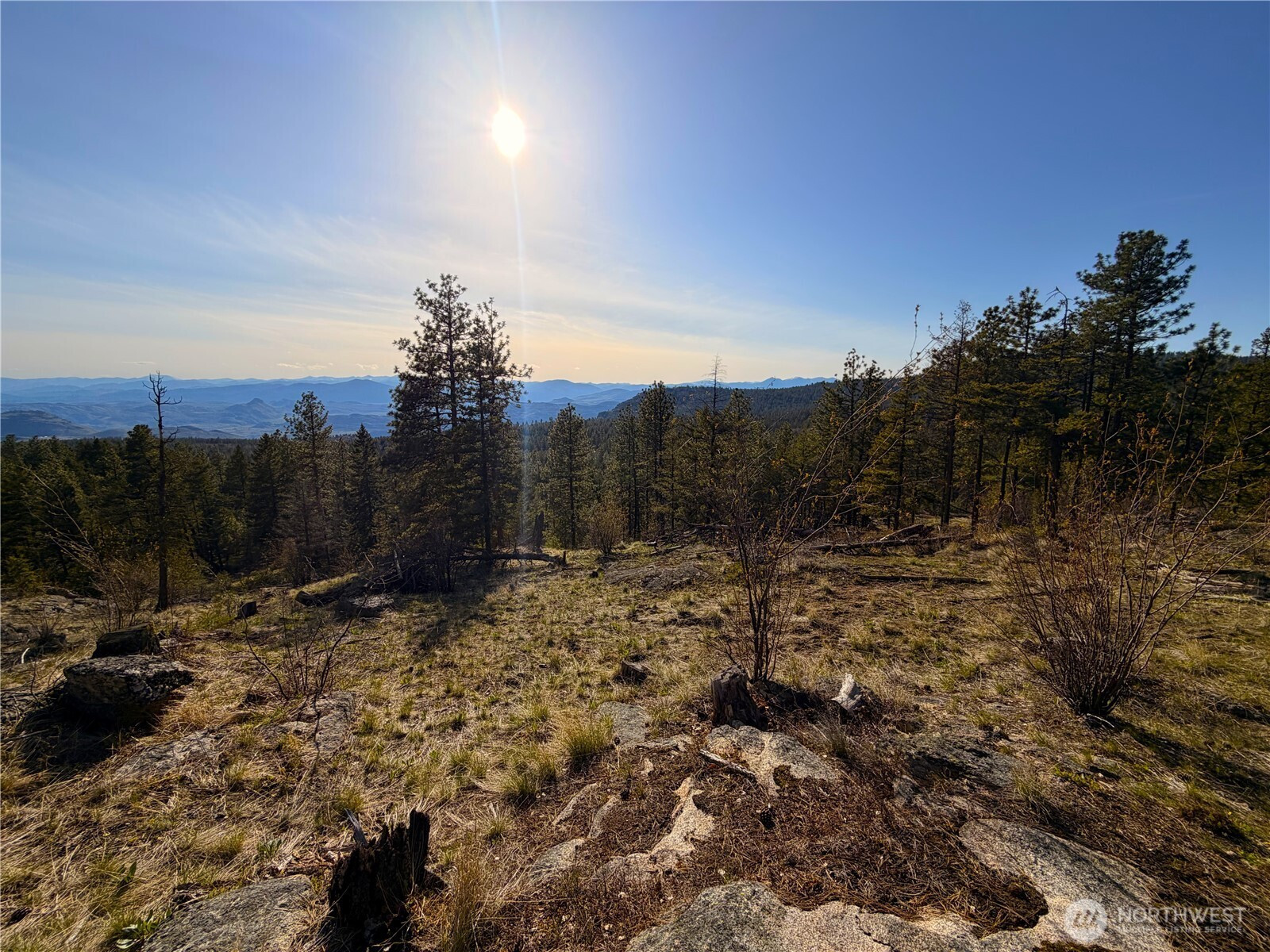 34 Morgan Mountain Trail, Tonasket, WA 98855