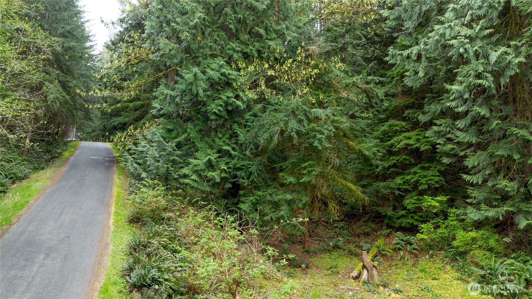 13 Wisteria Lane, Bellingham, WA 98229