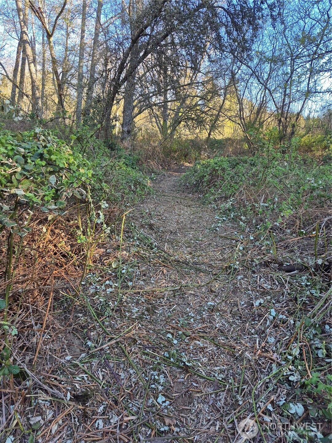 28 Lot NE Sipes Lane, Bremerton, WA 98311