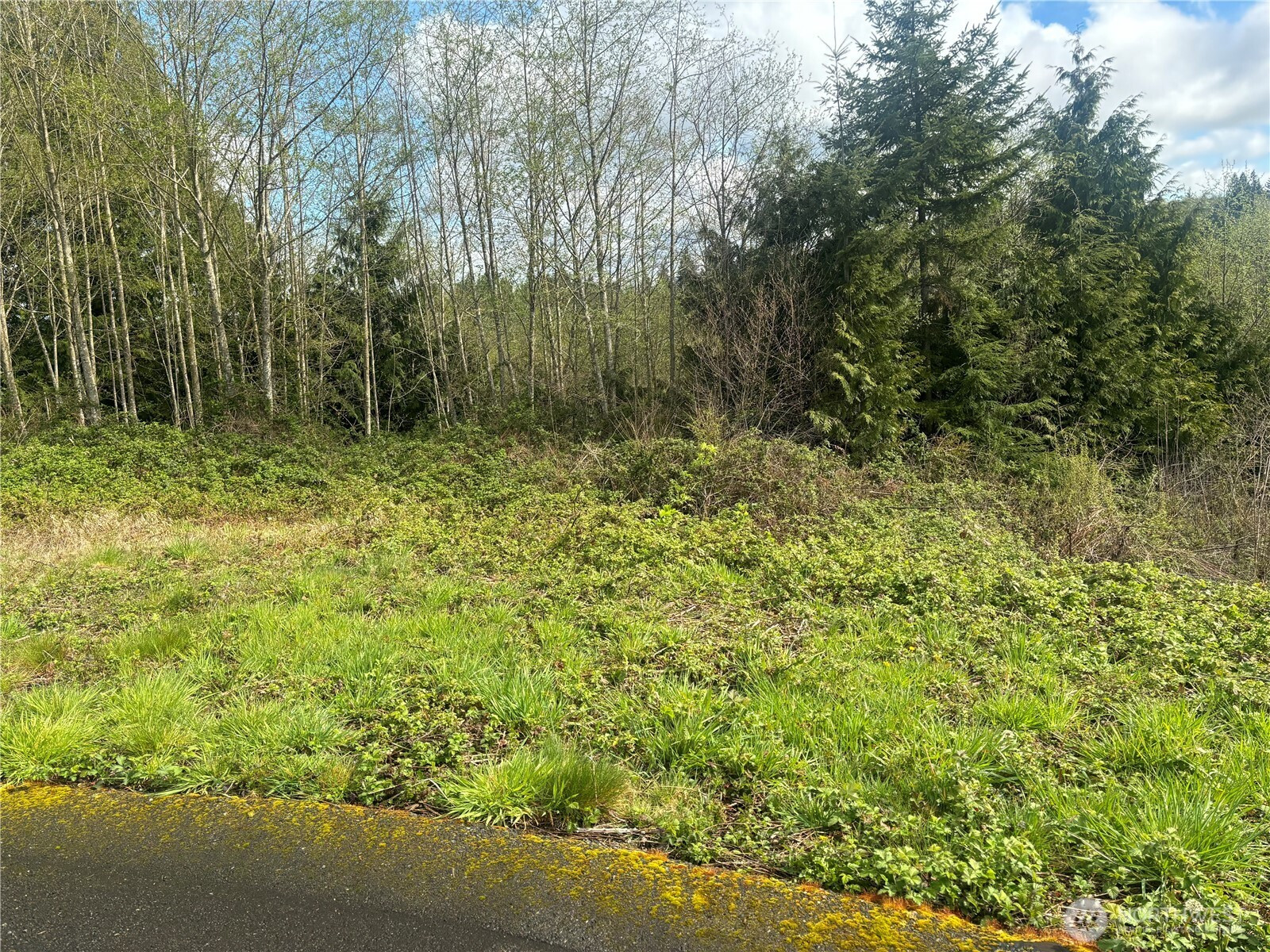 10 Timber Lane, Elma, WA 98541