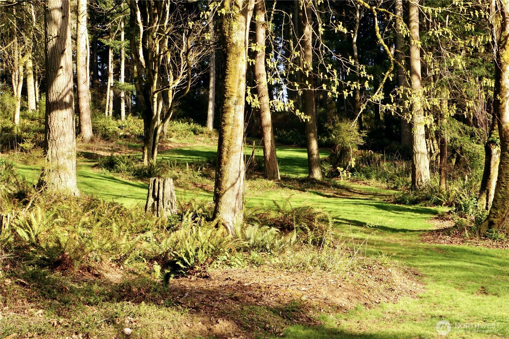 4236 Goatsbeard Lane, Clinton, WA 98236