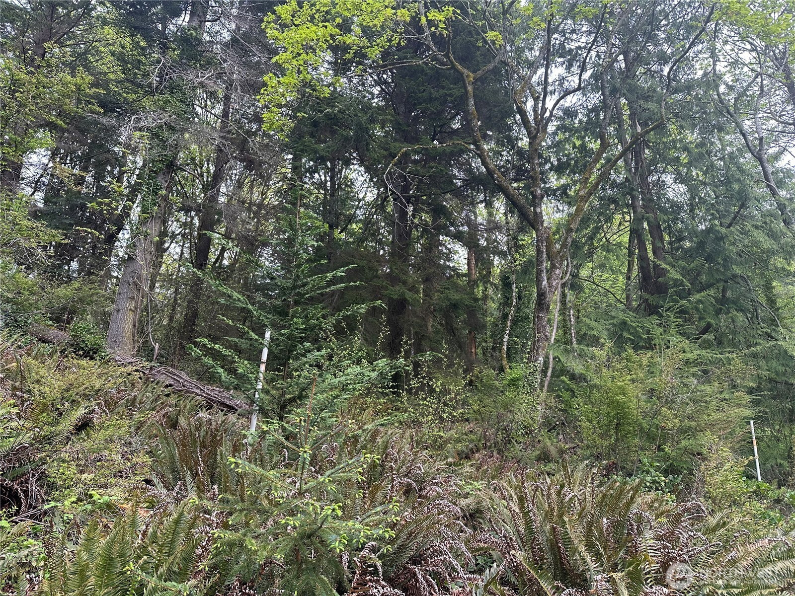 11 NE Shore Drive, Indianola, WA 98342