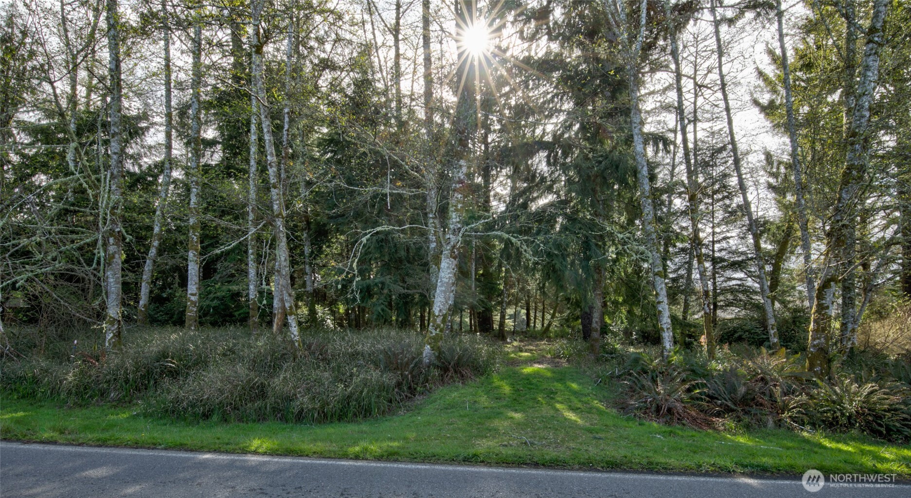 189 Duck Lake Drive NE, Ocean Shores, WA 98569