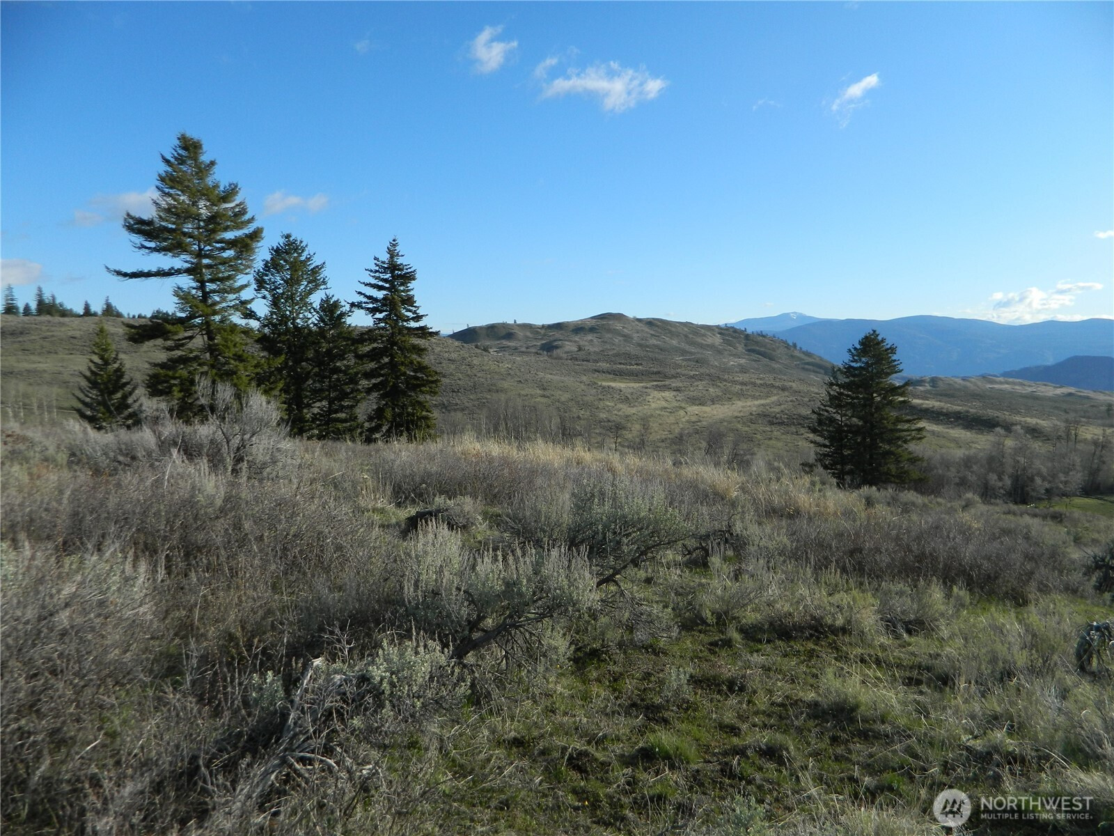0 TBD Ellemeham Ridge Road, Tonasket, WA 98855