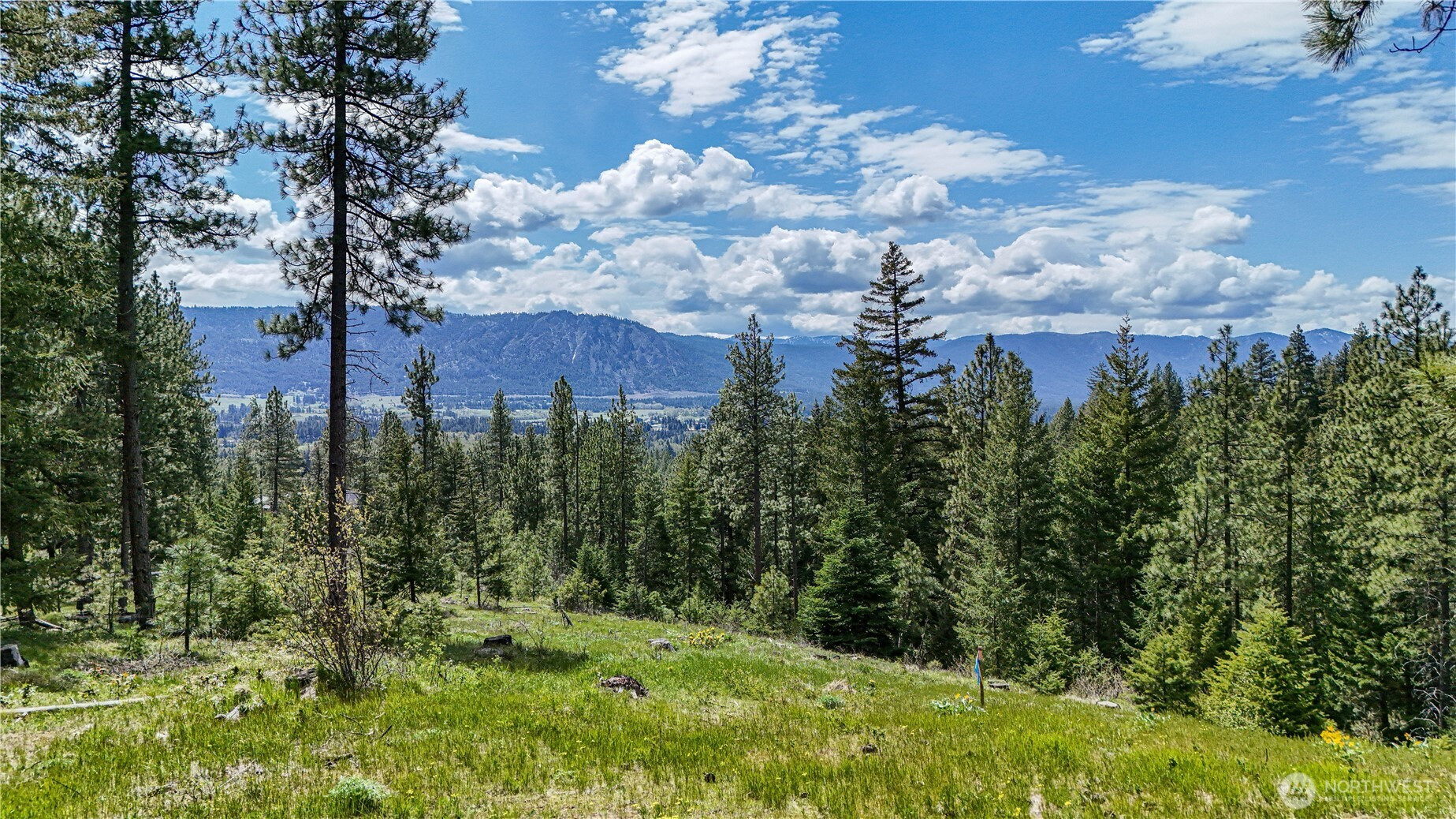 1631 Creekside Road, Cle Elum, WA 98922