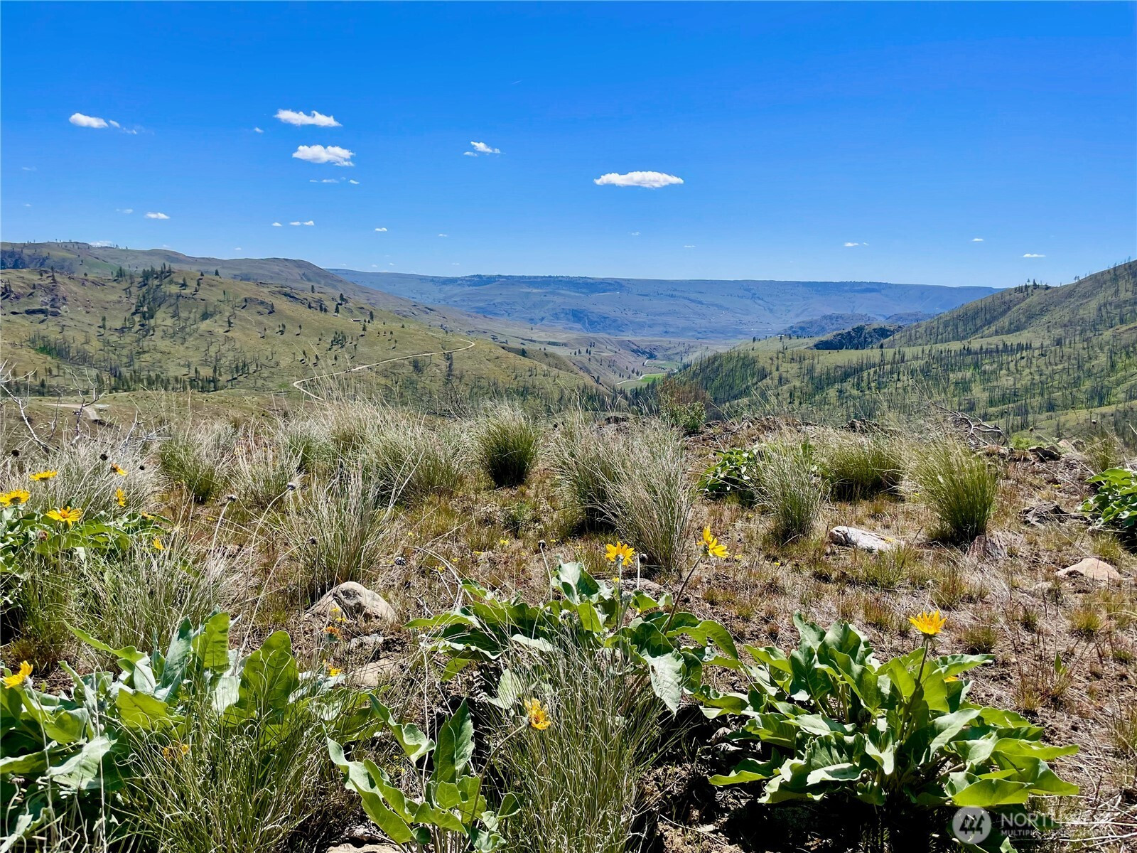 436 Antoine Creek Road, Chelan, WA 98816