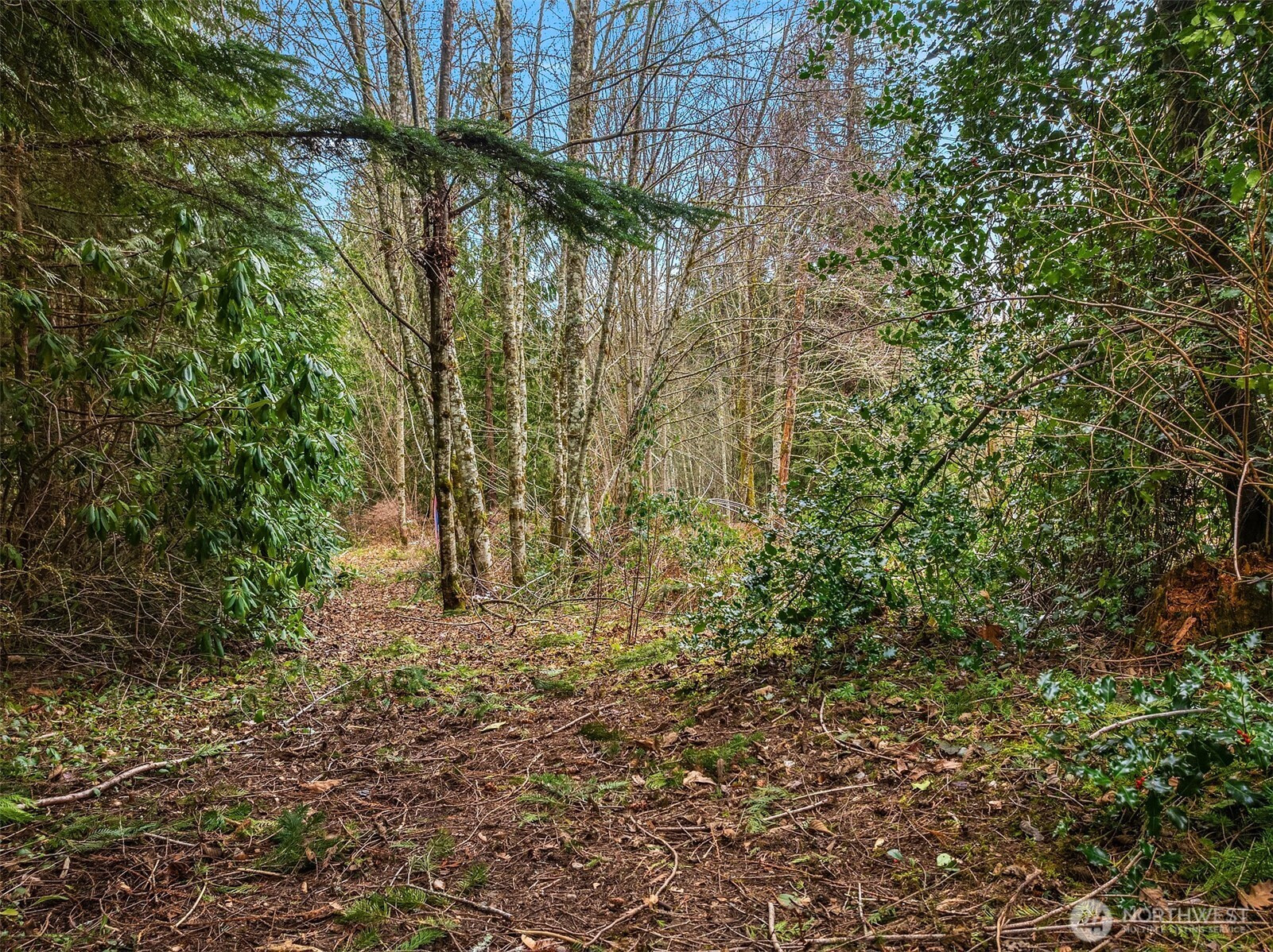 16 xxx SE 259th Avenue, Issaquah, WA 98027