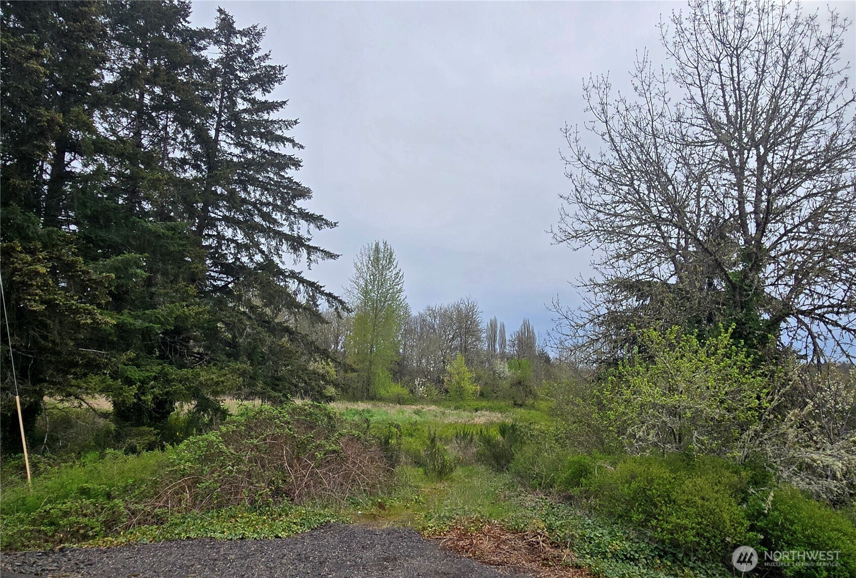 198 Chandler Road, Doty, WA 98539