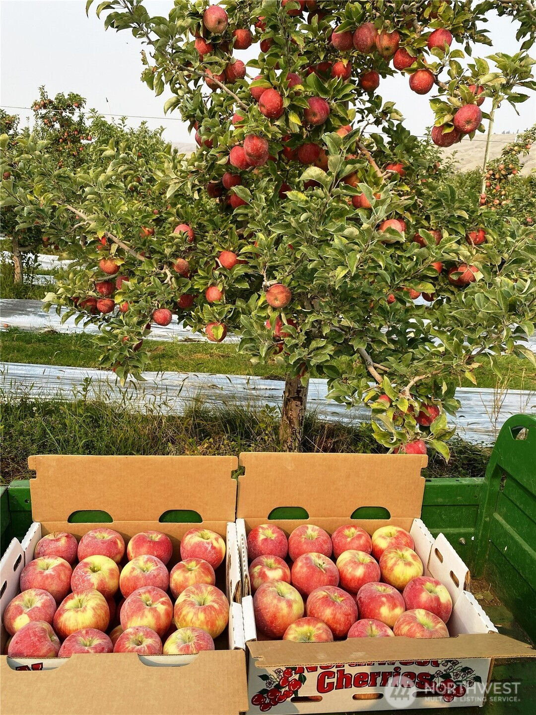 618 Jack Wells Road, Bridgeport, WA 98813