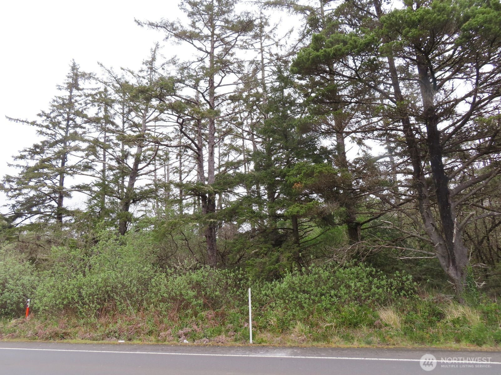 0 XXX State Route 105, Grayland, WA 98547