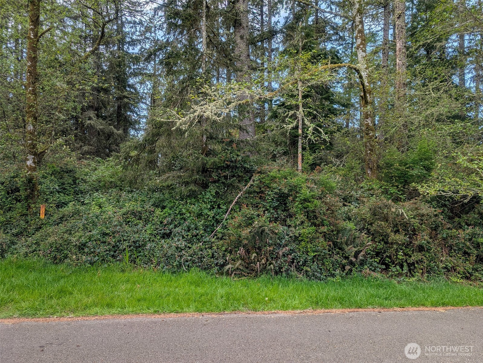 757 Evergreen Avenue SE, Ocean Shores, WA 98569