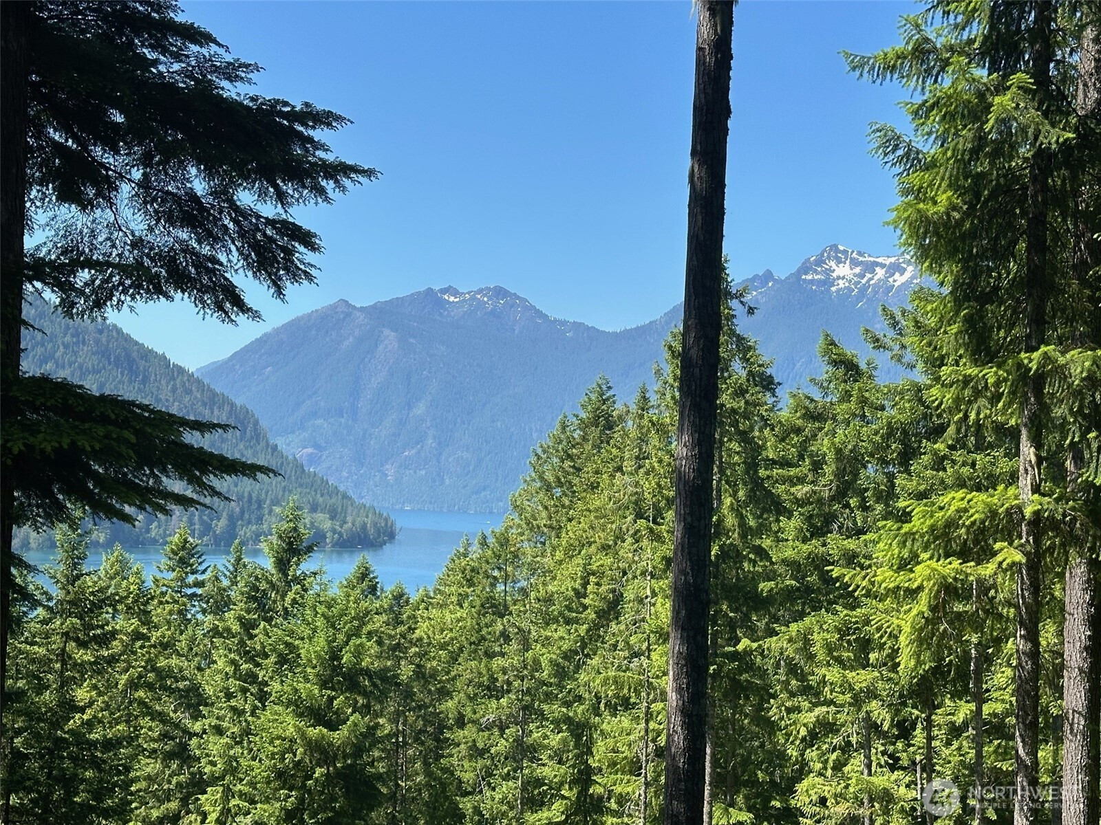 5156 N Lake Cushman Road, Hoodsport, WA 98548