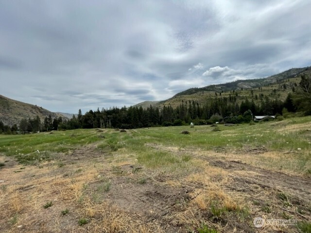 4 Lot 4 - Black Canyon Road, Pateros, WA 98846