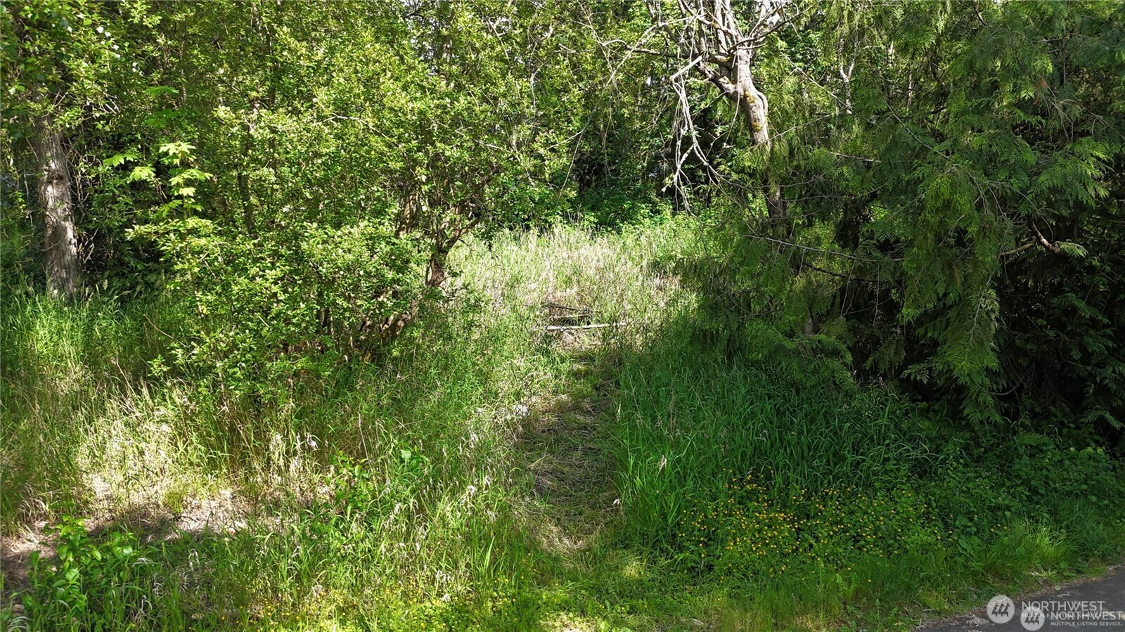 12015 58th Avenue E, Puyallup, WA 98373