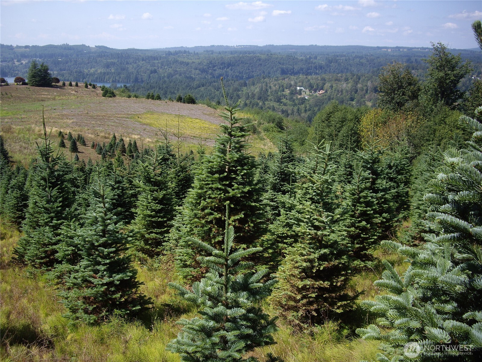 2 Birley Rd, Mossyrock, WA 98564